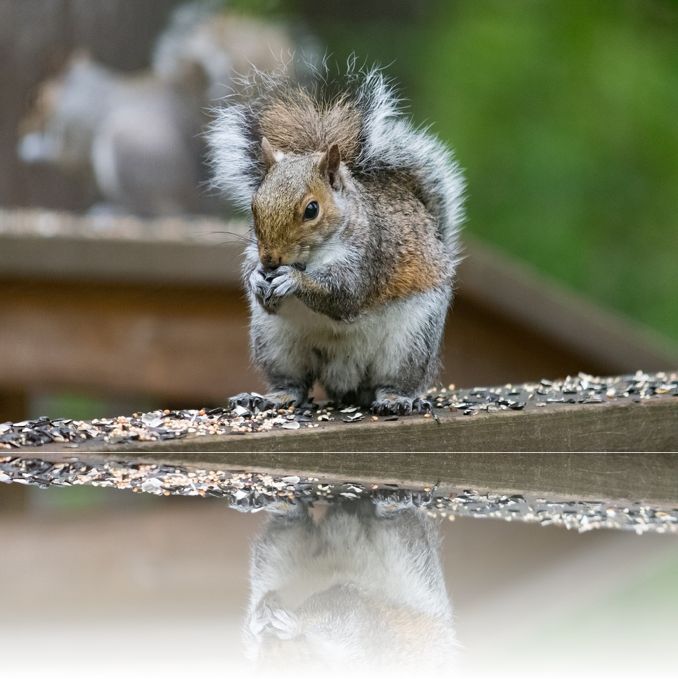 Homeowner Association HOA news and information.